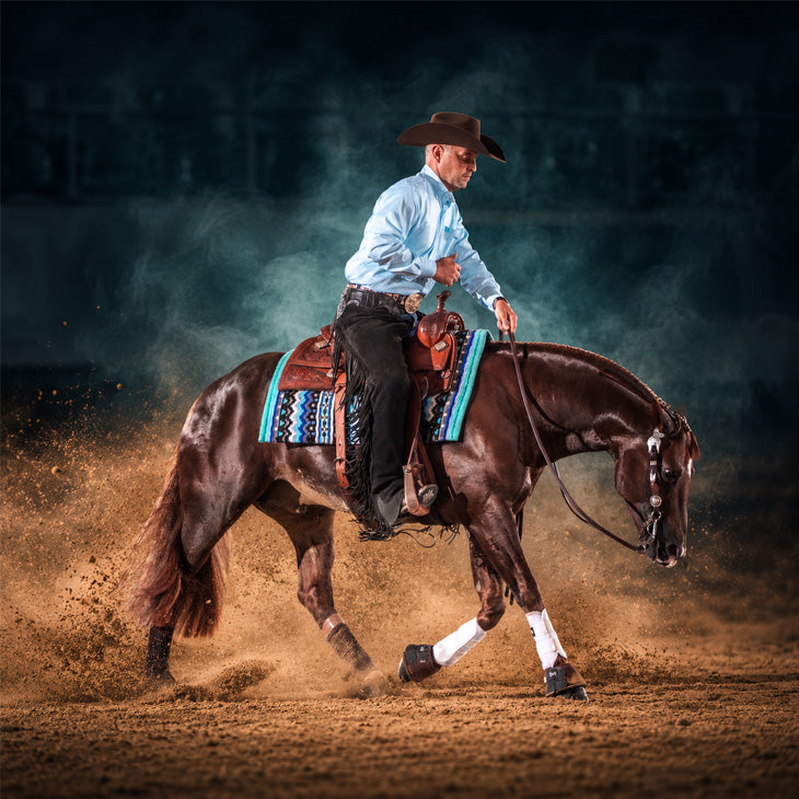 Gunna Whiz Crome, offspring by Walla Whiz Crome (TomTom), portrait